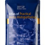 Springer Dermatology Kindle Edition English Medical Book-0