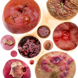 Scion Publishing Dermatology eBook Second Edition English-0