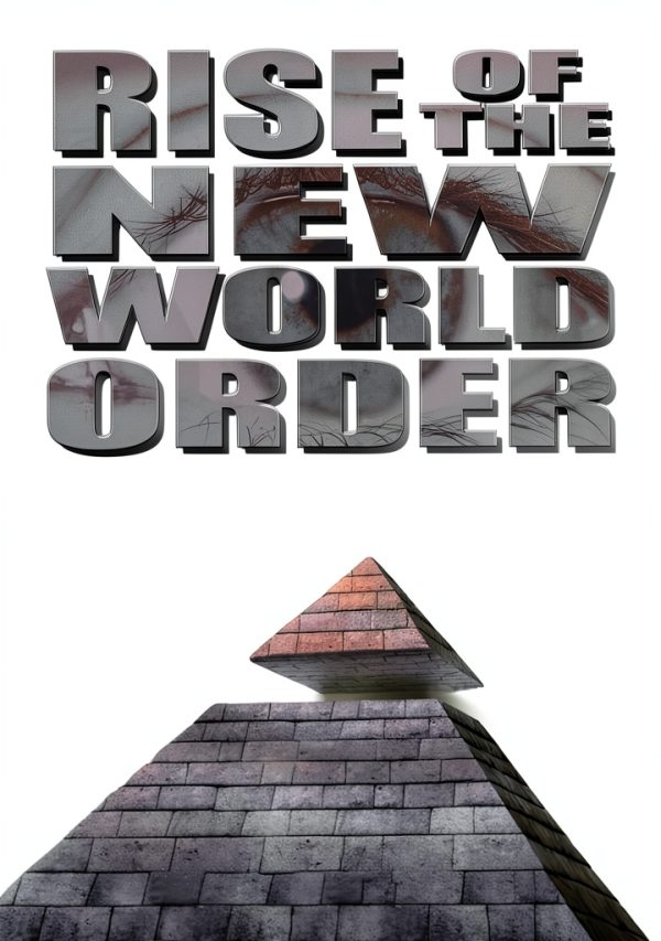 Samaritan Sentinel Rise Of The New World Order Kindle Book-0